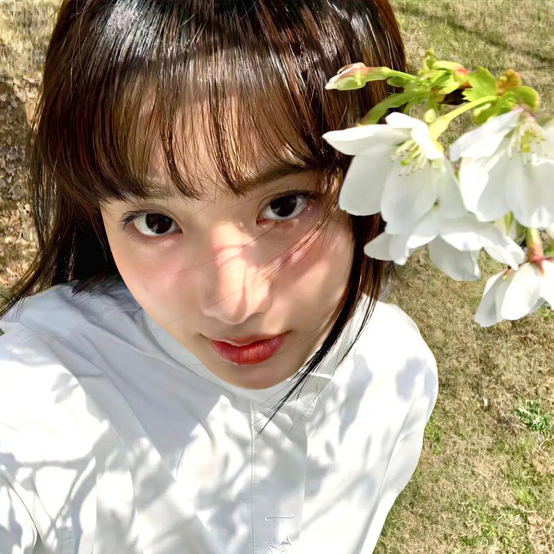 在京都小住